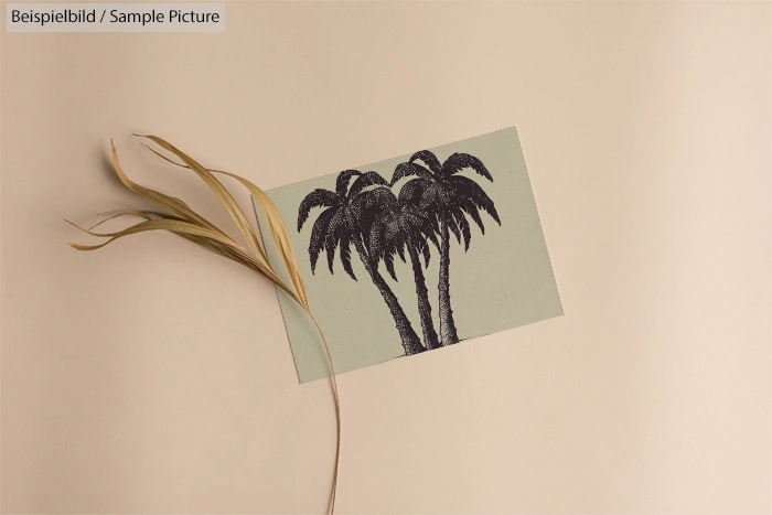 Illustration of palm trees on pale background with dry grass stem beside it.