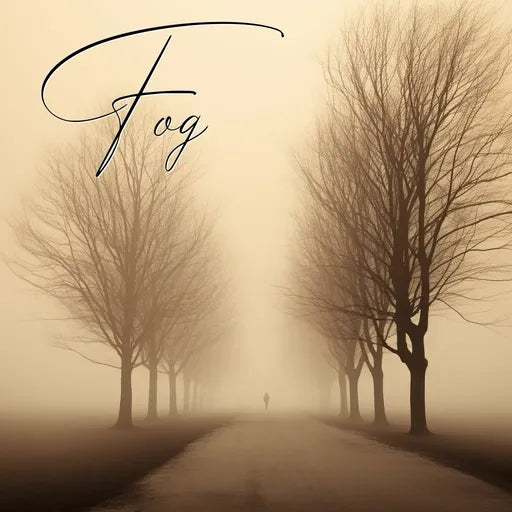 Silhouetted trees along a foggy road with a lone figure in the distance, text overlay reads 'Fog'.